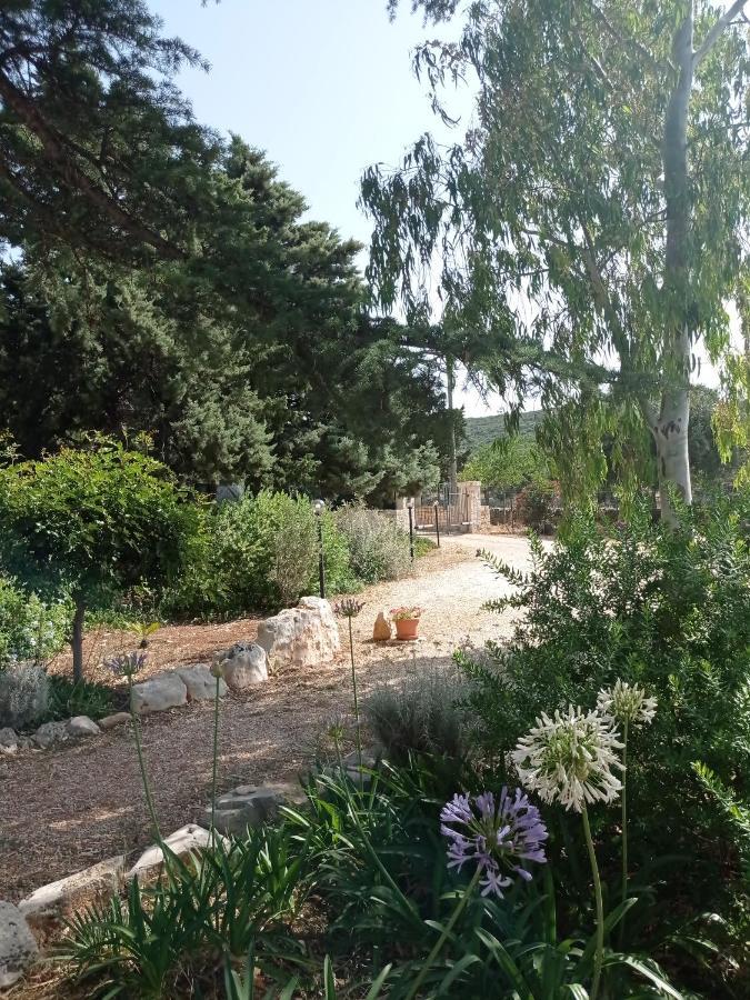 Dimora Dalia - Puglia Mia Apartments Monopoli Exteriör bild